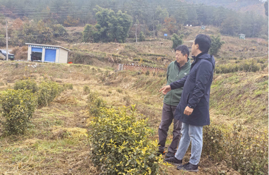 考察黄茶基地.png 考察黄茶基地.png